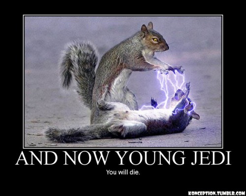 i_meme_piu_geek_quelli_ispirati_da-_star_wars_8.jpg