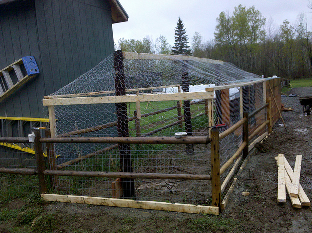 inexpensive diy chicken coop we built when we ordered our chickens ...