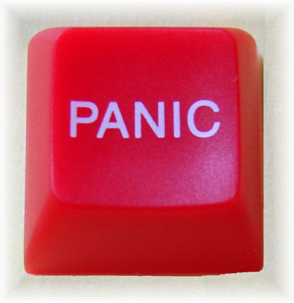 4xqx1-panic-alone-2.jpg