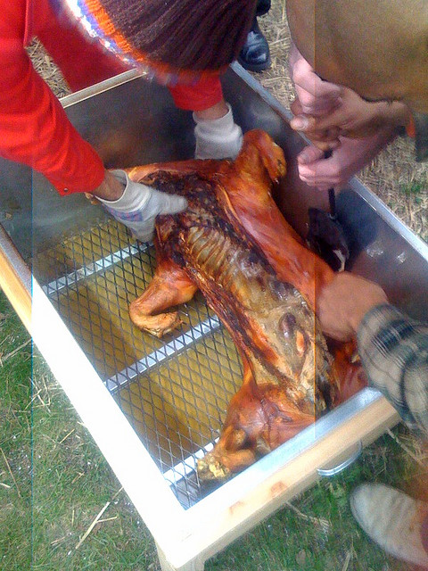 pig roast by   zachary jean paradis. CC BY 2.0