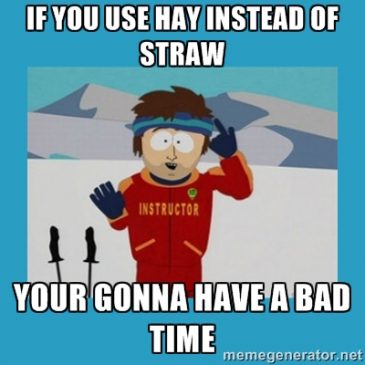 Hay versus straw